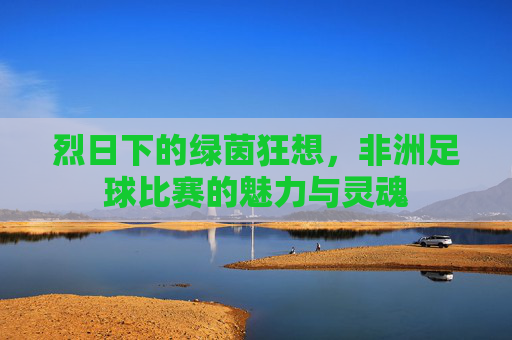 烈日下的绿茵狂想,非洲足球比赛的魅力与灵魂