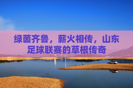 绿茵齐鲁,薪火相传,山东足球联赛的草根传奇