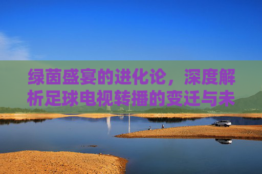绿茵盛宴的进化论,深度解析足球电视转播的变迁与未来