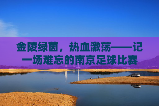 金陵绿茵,热血激荡——记一场难忘的南京足球比赛