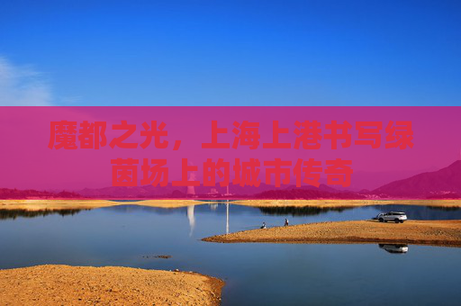 魔都之光,上海上港书写绿茵场上的城市传奇
