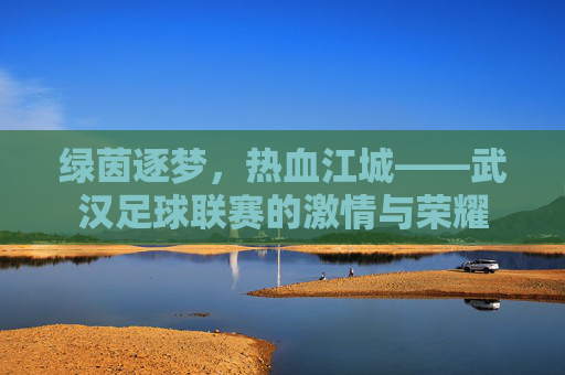 绿茵逐梦,热血江城——武汉足球联赛的激情与荣耀