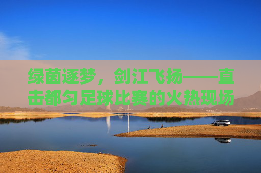 绿茵逐梦,剑江飞扬——直击都匀足球比赛的火热现场
