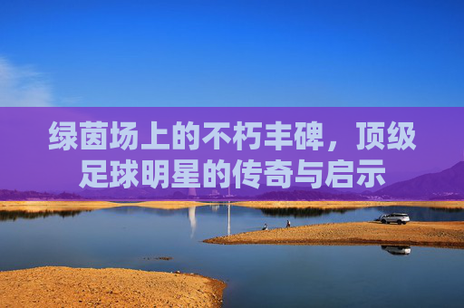 绿茵场上的不朽丰碑,顶级足球明星的传奇与启示
