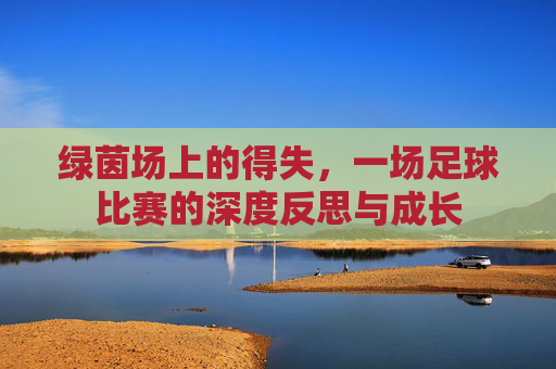 绿茵场上的得失,一场足球比赛的深度反思与成长