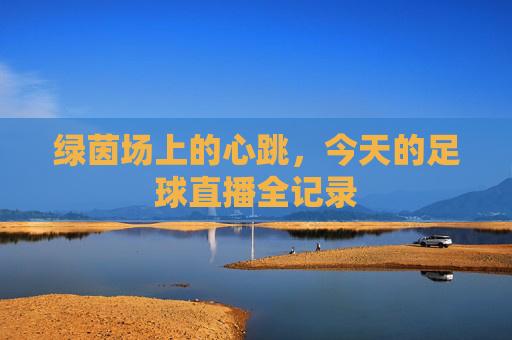 绿茵场上的心跳,今天的足球直播全记录