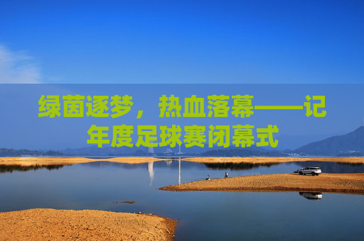 绿茵逐梦,热血落幕——记年度足球赛闭幕式