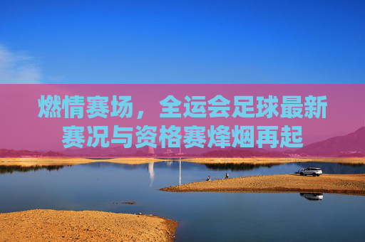 燃情赛场,全运会足球最新赛况与资格赛烽烟再起