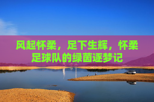 风起怀柔,足下生辉,怀柔足球队的绿茵逐梦记