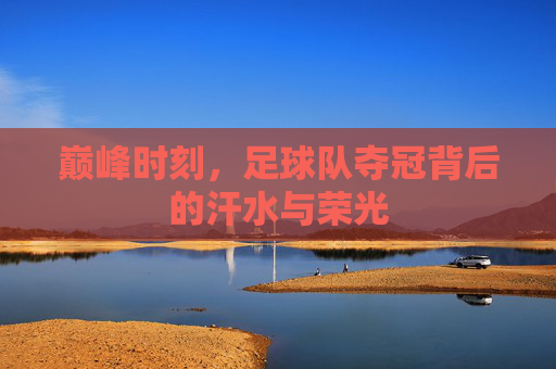 巅峰时刻,足球队夺冠背后的汗水与荣光