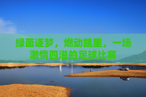 绿茵逐梦,燃动凯里,一场激情四溢的足球比赛