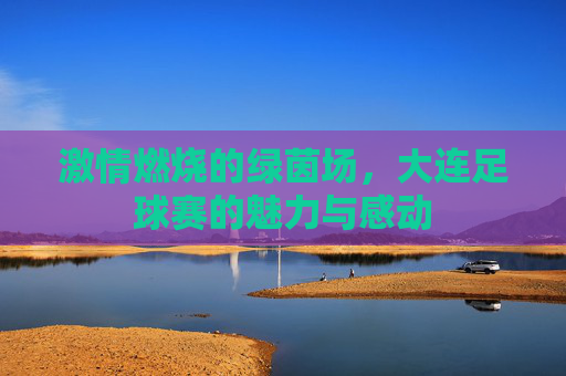 激情燃烧的绿茵场,大连足球赛的魅力与感动
