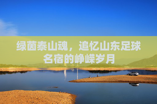 绿茵泰山魂,追忆山东足球名宿的峥嵘岁月