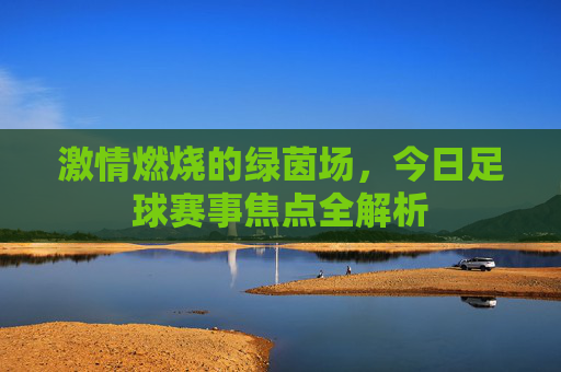 激情燃烧的绿茵场,今日足球赛事焦点全解析