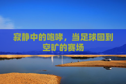 寂静中的咆哮,当足球回到空旷的赛场