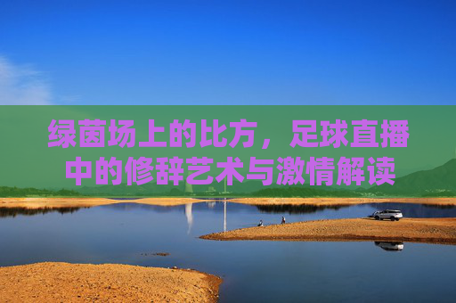 绿茵场上的比方,足球直播中的修辞艺术与激情解读