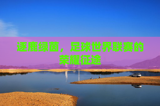 逐鹿绿茵,足球世界联赛的荣耀征途