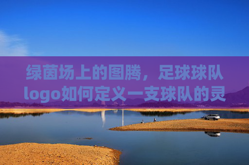 绿茵场上的图腾,足球球队logo如何定义一支球队的灵魂