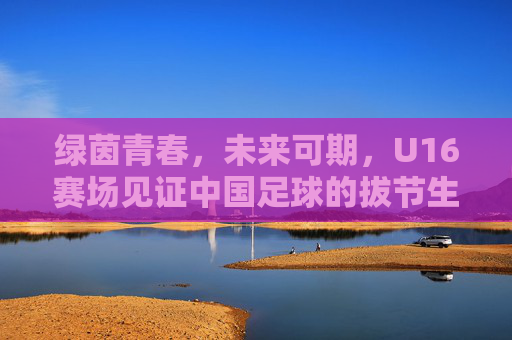 绿茵青春,未来可期,U16赛场见证中国足球的拔节生长