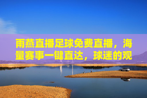 雨燕直播足球免费直播,海量赛事一键直达,球迷的观赛福音