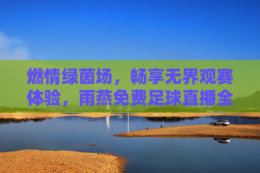 燃情绿茵场,畅享无界观赛体验,雨燕免费足球直播全解析
