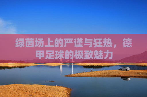 绿茵场上的严谨与狂热,德甲足球的极致魅力