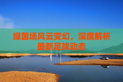 绿茵场风云变幻,深度解析最新足球动态