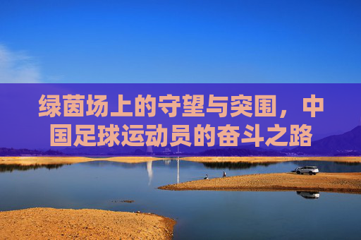 绿茵场上的守望与突围，中国足球运动员的奋斗之路