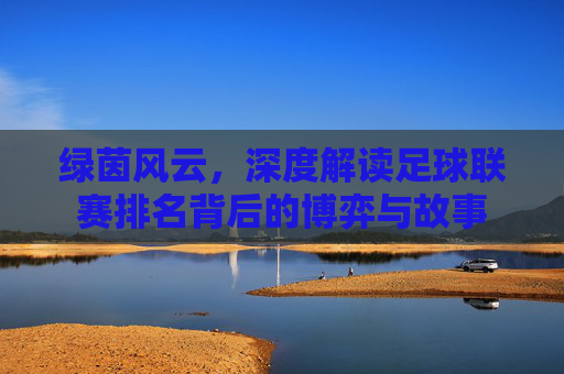 绿茵风云，深度解读足球联赛排名背后的博弈与故事