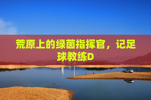 荒原上的绿茵指挥官，记足球教练D