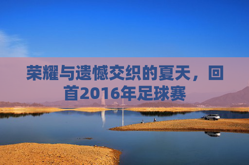 荣耀与遗憾交织的夏天，回首2016年足球赛