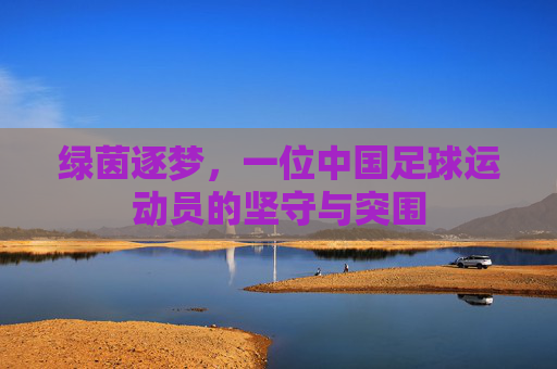 绿茵逐梦,一位中国足球运动员的坚守与突围