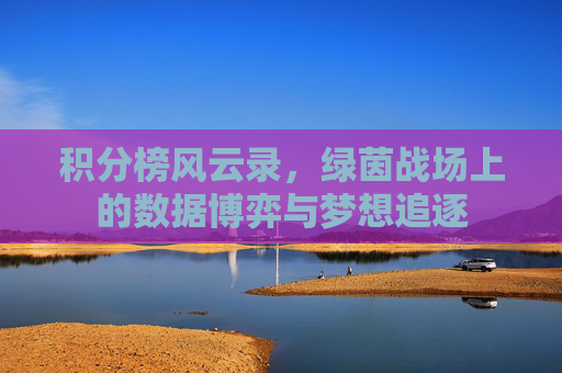 积分榜风云录,绿茵战场上的数据博弈与梦想追逐