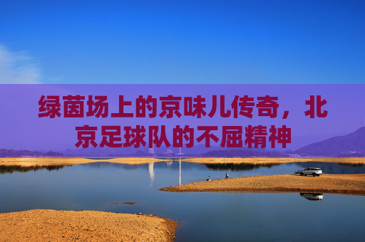 绿茵场上的京味儿传奇,北京足球队的不屈精神