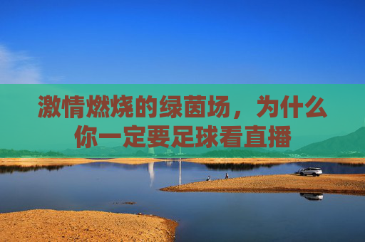 激情燃烧的绿茵场,为什么你一定要足球看直播