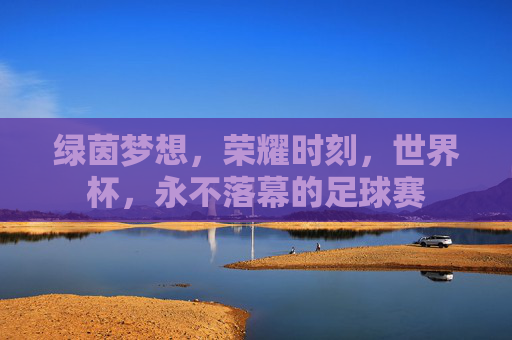 绿茵梦想,荣耀时刻,世界杯,永不落幕的足球赛