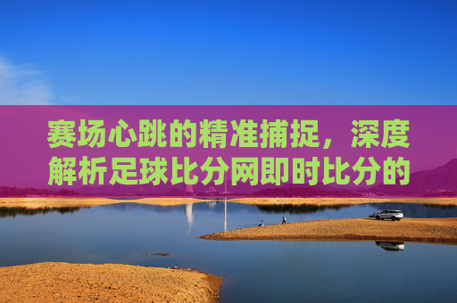 赛场心跳的精准捕捉,深度解析足球比分网即时比分的使用价值与体验