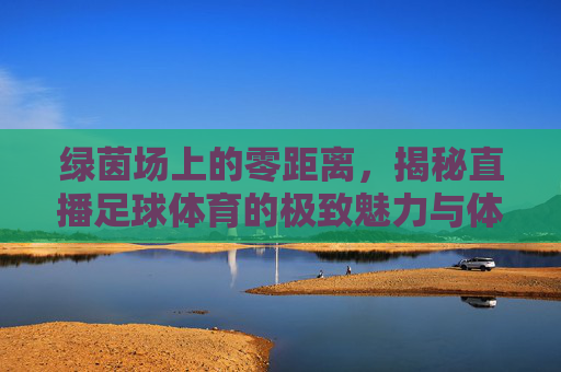 绿茵场上的零距离,揭秘直播足球体育的极致魅力与体验