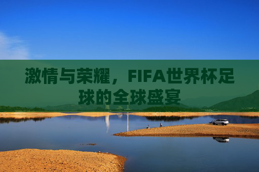 激情与荣耀,FIFA世界杯足球的全球盛宴