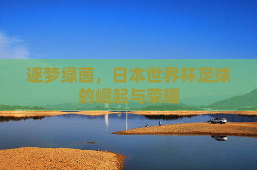 逐梦绿茵,日本世界杯足球的崛起与荣耀