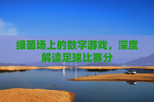 绿茵场上的数字游戏,深度解读足球比赛分
