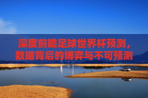 深度前瞻足球世界杯预测,数据背后的博弈与不可预测的魔力