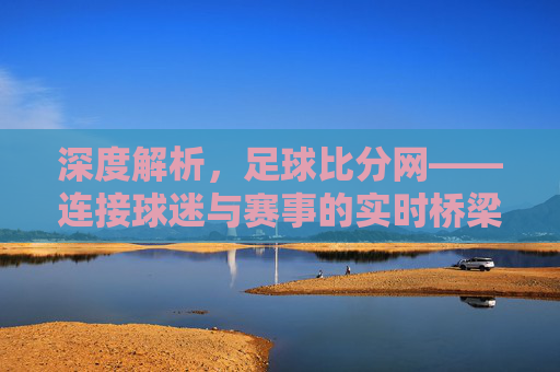 深度解析,足球比分网——连接球迷与赛事的实时桥梁