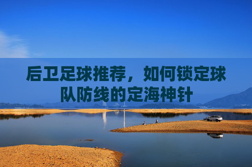 后卫足球推荐,如何锁定球队防线的定海神针