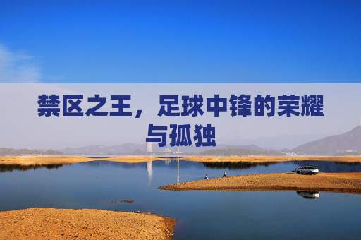 禁区之王，足球中锋的荣耀与孤独