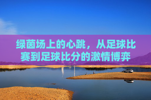 绿茵场上的心跳，从足球比赛到足球比分的激情博弈