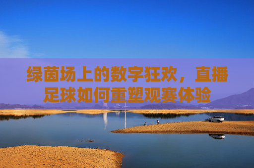 绿茵场上的数字狂欢，直播足球如何重塑观赛体验