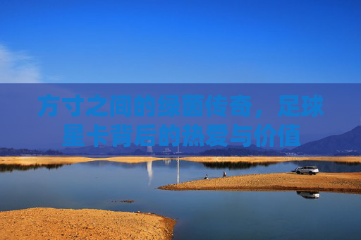 方寸之间的绿茵传奇,足球星卡背后的热爱与价值