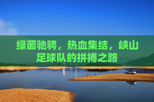 绿茵驰骋，热血集结，峡山足球队的拼搏之路