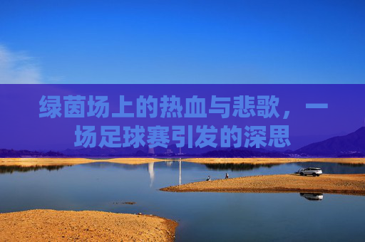 绿茵场上的热血与悲歌,一场足球赛引发的深思